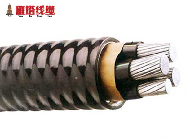 YJHLV82铝合金铠装护套电力电缆